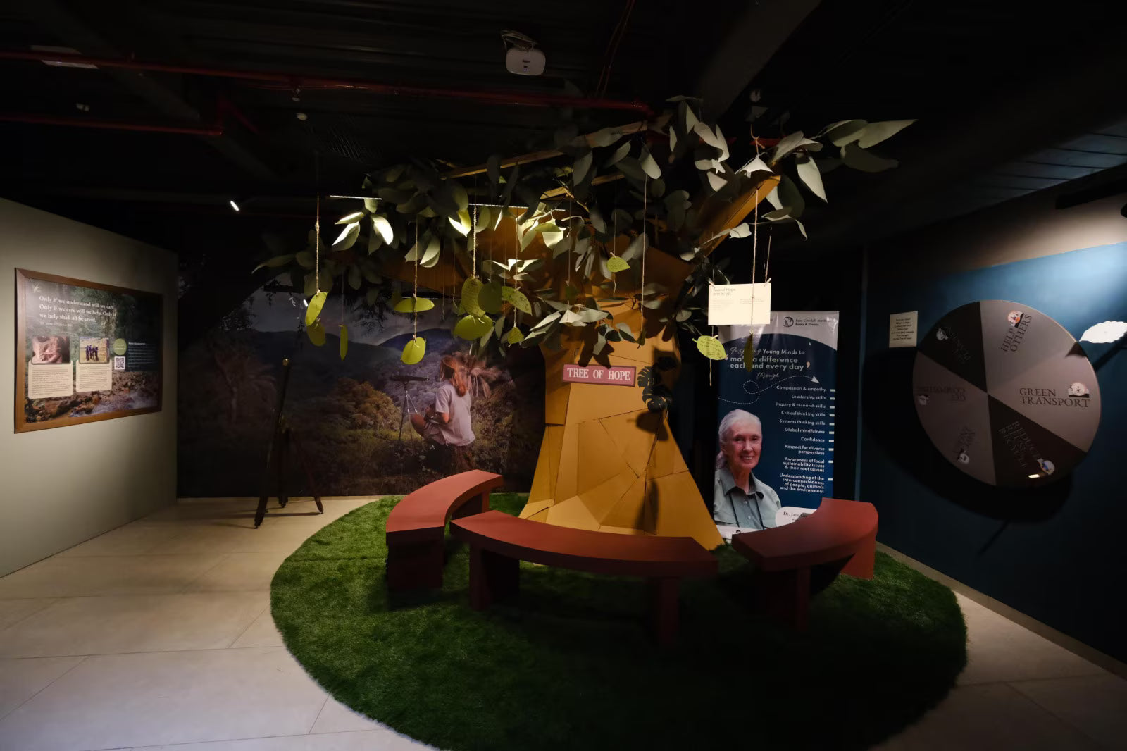 Chimps Take Center Stage: Celebrating Jane Goodall's Legacy at Mumbai's MuSo