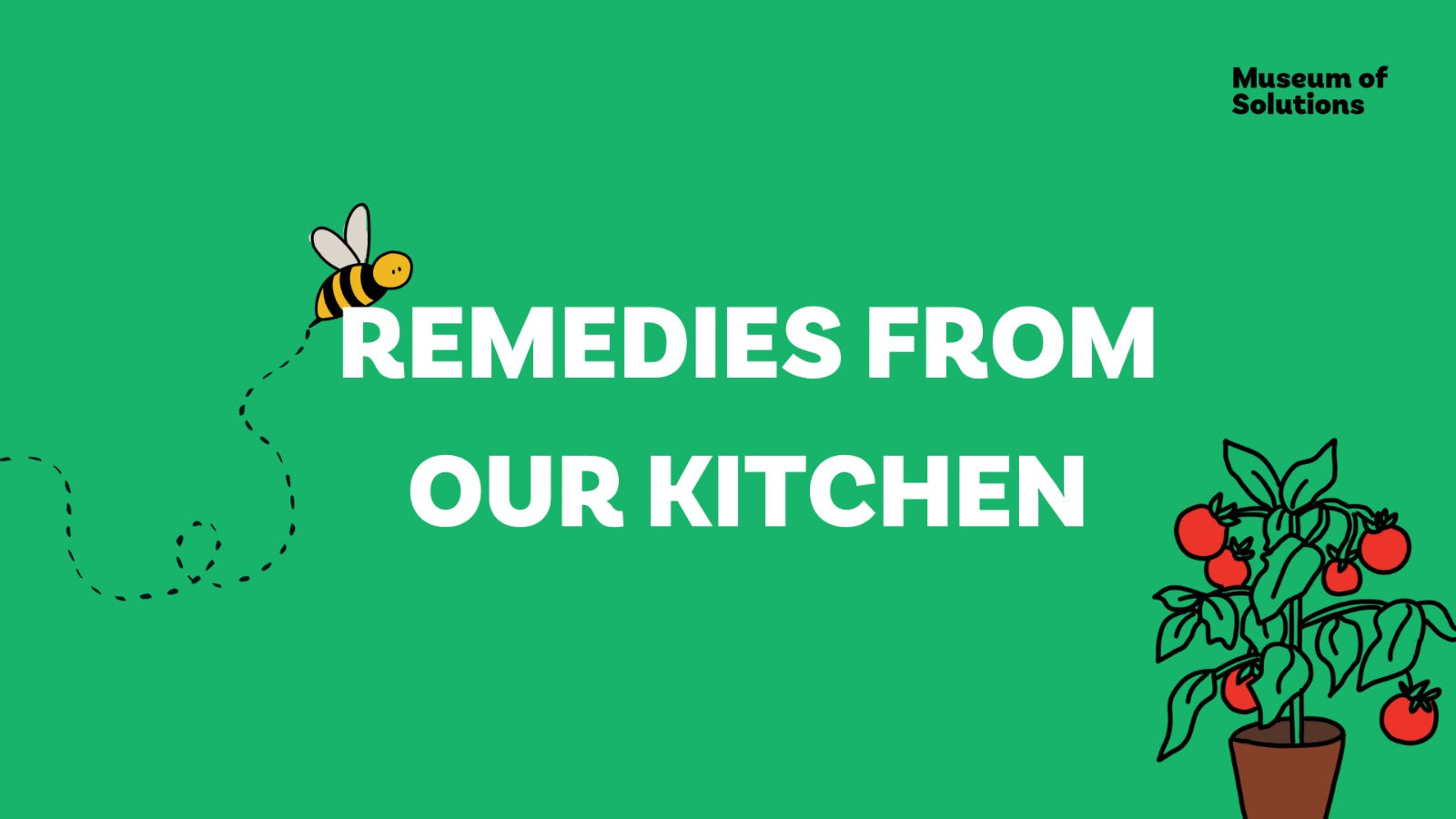 Remedies from Our Kitchen: The Science of Everyday Healing with Zama