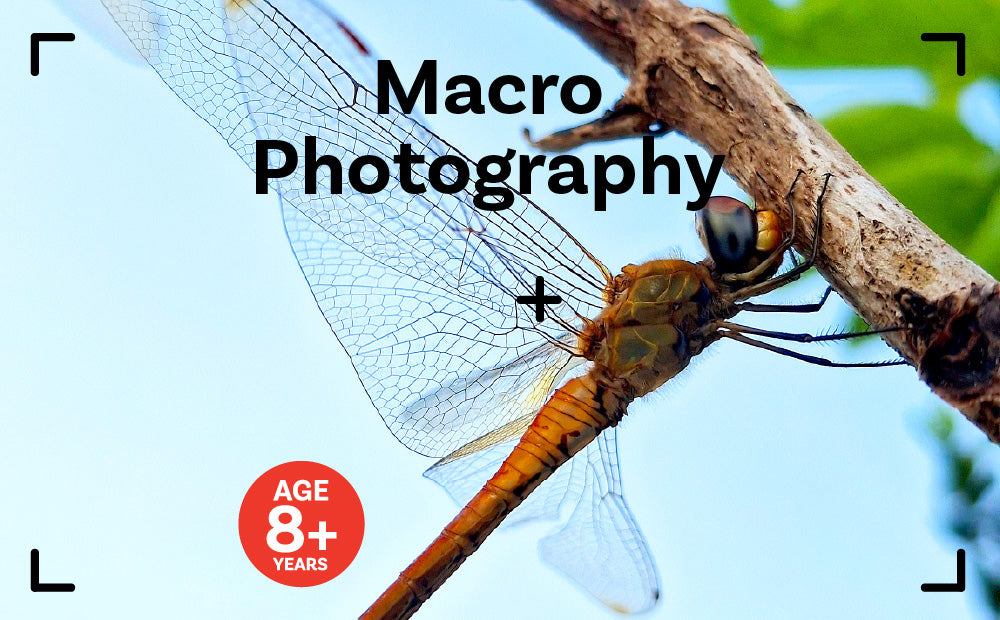 MacroPhotography